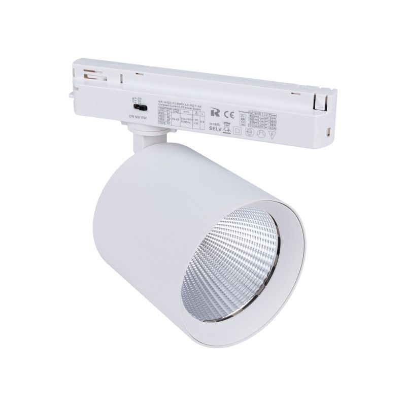 LED 1-phase track spotlight - 40W - Fish and Seafood