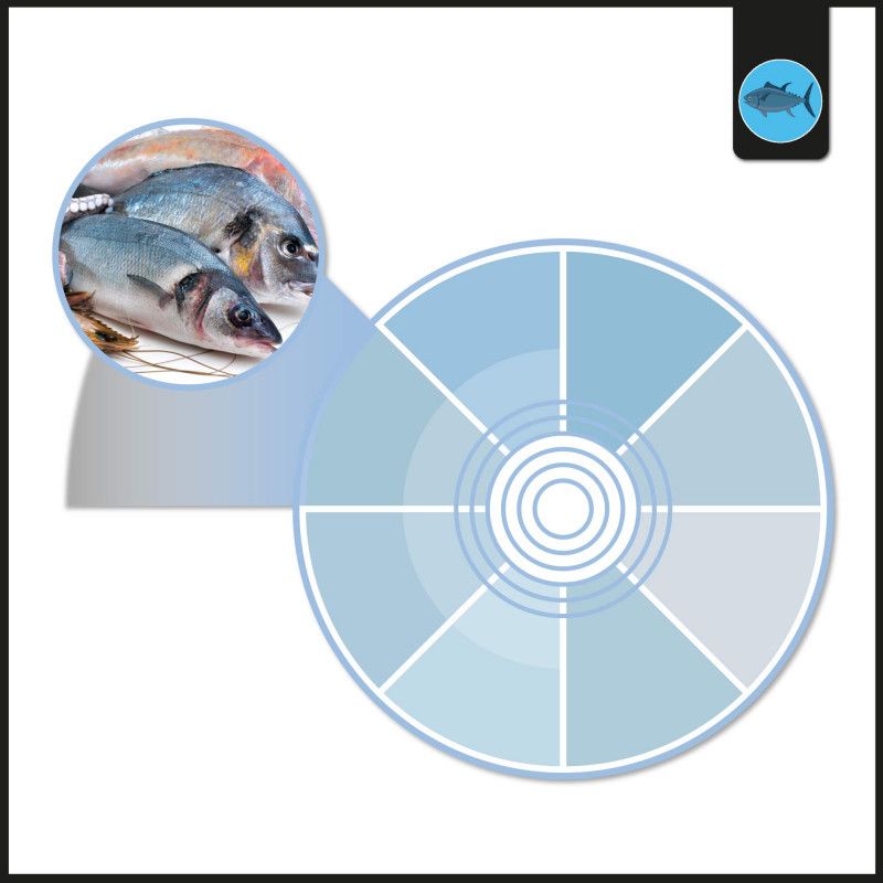 LED 1-phase track spotlight - 40W - Fish and Seafood