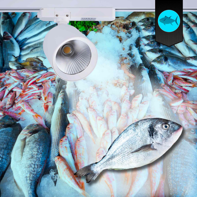 LED 1-phase track spotlight - 40W - Fish and Seafood
