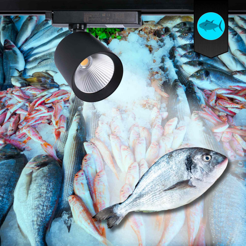 LED 1-phase track spotlight - 40W - Fish and Seafood