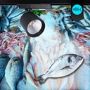 LED 1-phase track spotlight - 40W - Fish and Seafood