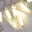 Single-color LED module for signage - 1.5W - 12V DC - IP65 - 120º