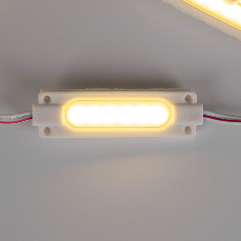 Single-color LED module for signage - 1.5W - 12V DC - IP65 - 120º