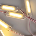 Single-color LED module for signage - 1.5W - 12V DC - IP65 - 120º