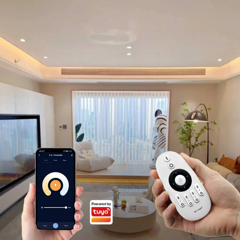 LED Strip Controller 2 in 1- Monochrome - CCT - 12/24V DC - 2.4GHz+ WiFi - Mi Boxer - E2-WR