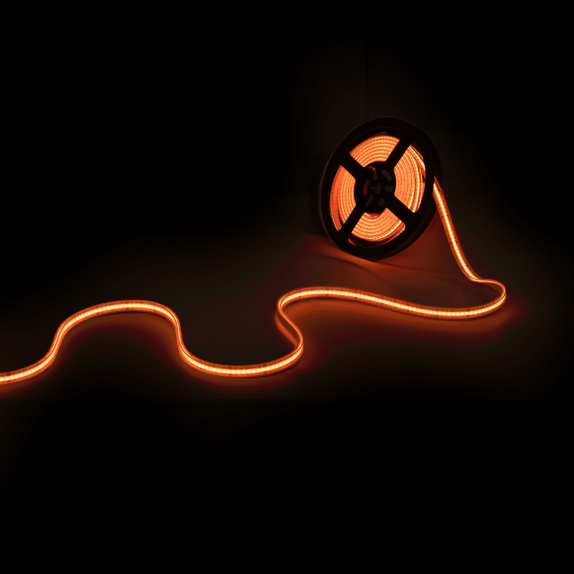 BLSCOB-24V12W-IP67-RGB.gif