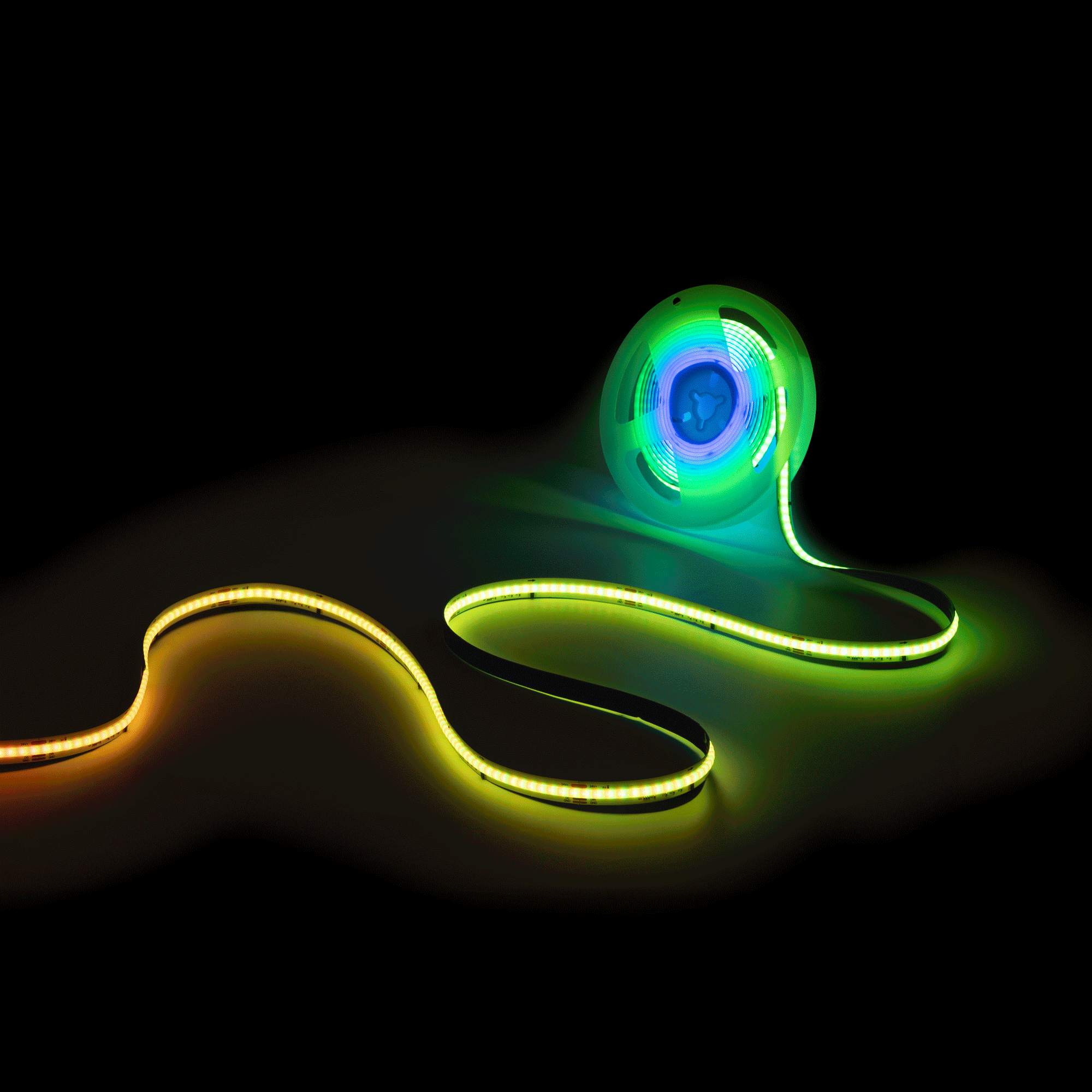 BLSCOB-24V12W-IC-IP20-RGB-a.gif