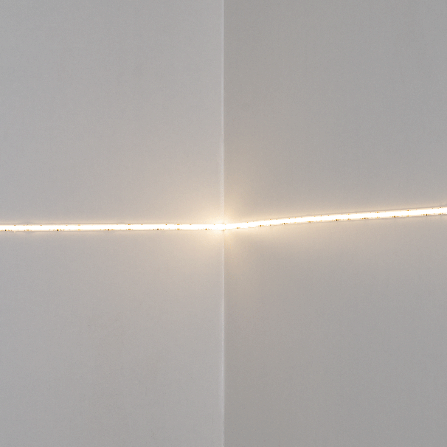 BL-FL01-GIF.gif