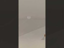 Video 8435427116683