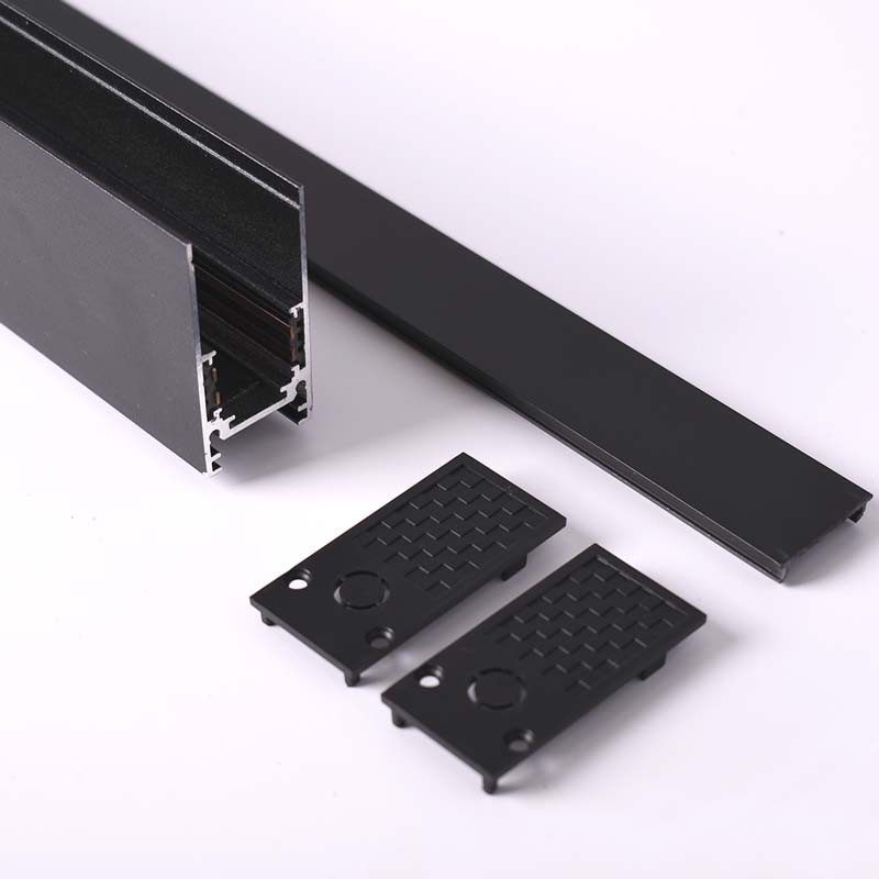 Magnetic rail 20mm surface mounted 48V - 1 meter
