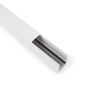 Magnetic rail 20mm surface mounted 48V - 1 meter