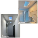 "SMART Blue Skylight" LED Panel - Sky effect - Daylight - 50W - 60x30cm