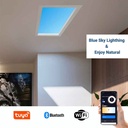 "SMART Blue Skylight" LED Panel - Sky effect - Daylight - 50W - 60x30cm