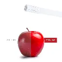 Compo3 (12).webp