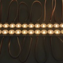 LED Module 2xSMD2835 1.2W 12V IP65 170º.