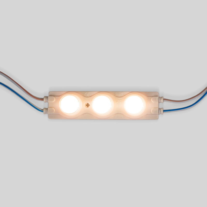 Single-color LED module for signage - 2.8W - 220V AC - IP65 - 16º