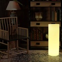 Rechargeable RGBW LED planter - 7W - IP65 - 40x115cm