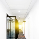 Downlight LED circular slim 20W  - Corte Ø 225mm - 5 años de garantía