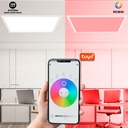 LED Panel WIFI SMART RGB / RGBW + CCT - 60x60 cm - 40W