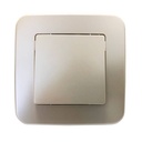 Simple recessed single-circuit switch mechanism