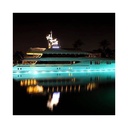 SLIM 30W 12V 316L stainless steel IP68 RGB LED submersible surface light 30W 12V