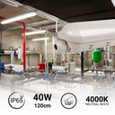 Linkable LED tri-proof batten light - 40W 120cm 5200lm 130 lm/W IP65