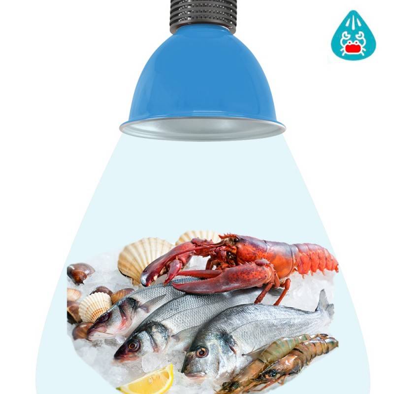LED hood 30W special for fish and seafood