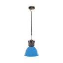 LED hood 30W special for fish and seafood