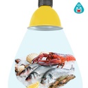 LED hood 30W special for fish and seafood