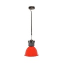 LED hood 30W special for fish and seafood