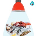 LED hood 30W special for fish and seafood