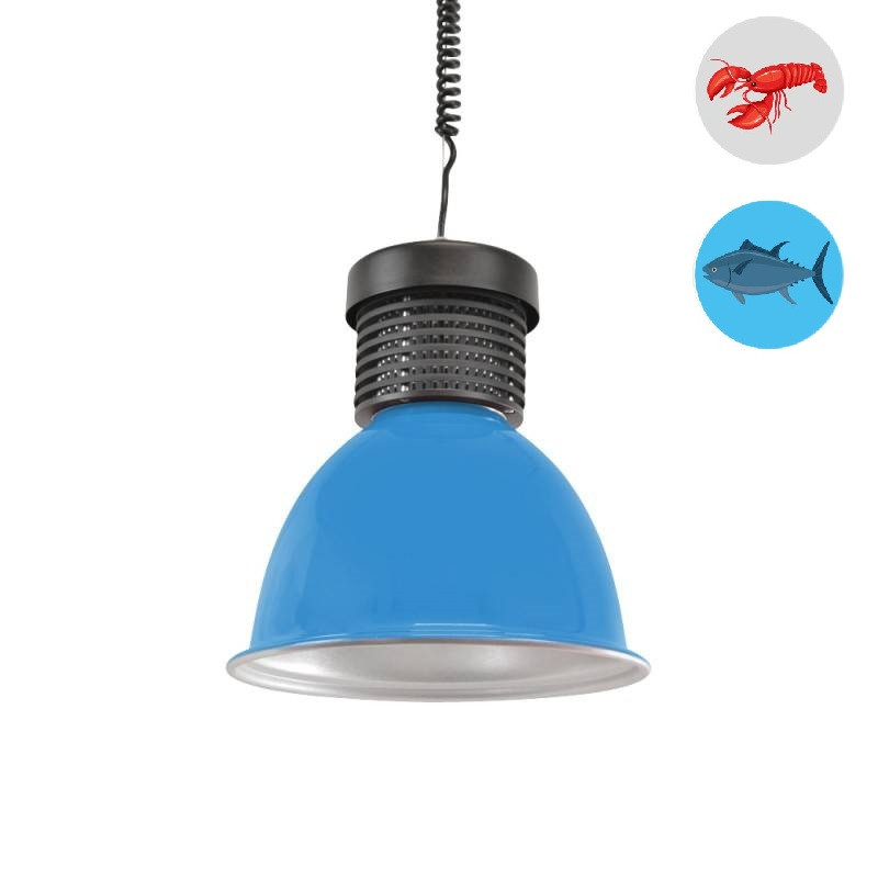 LED hood 30W special for fish and seafood