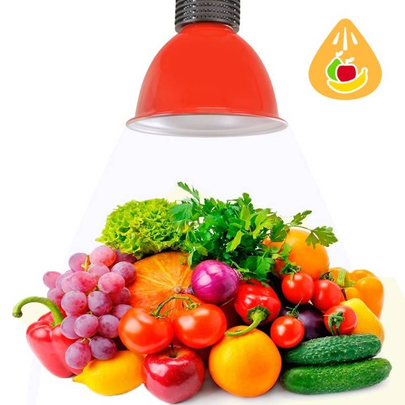 LED hood 30W special for greengrocers and greengroceries