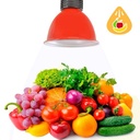 LED hood 30W special for greengrocers and greengroceries