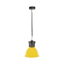 LED hood 30W special for greengrocers and greengroceries