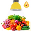 LED hood 30W special for greengrocers and greengroceries