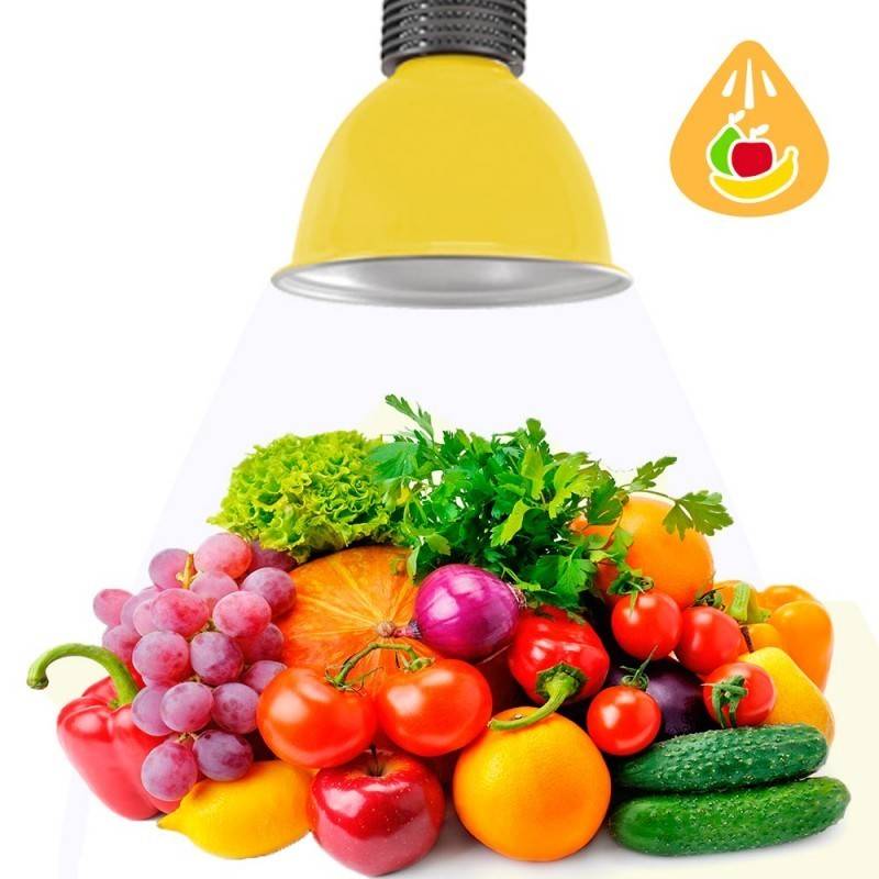 LED hood 30W special for greengrocers and greengroceries