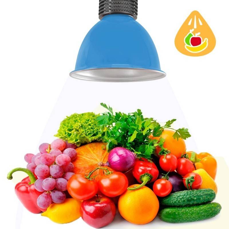 LED hood 30W special for greengrocers and greengroceries