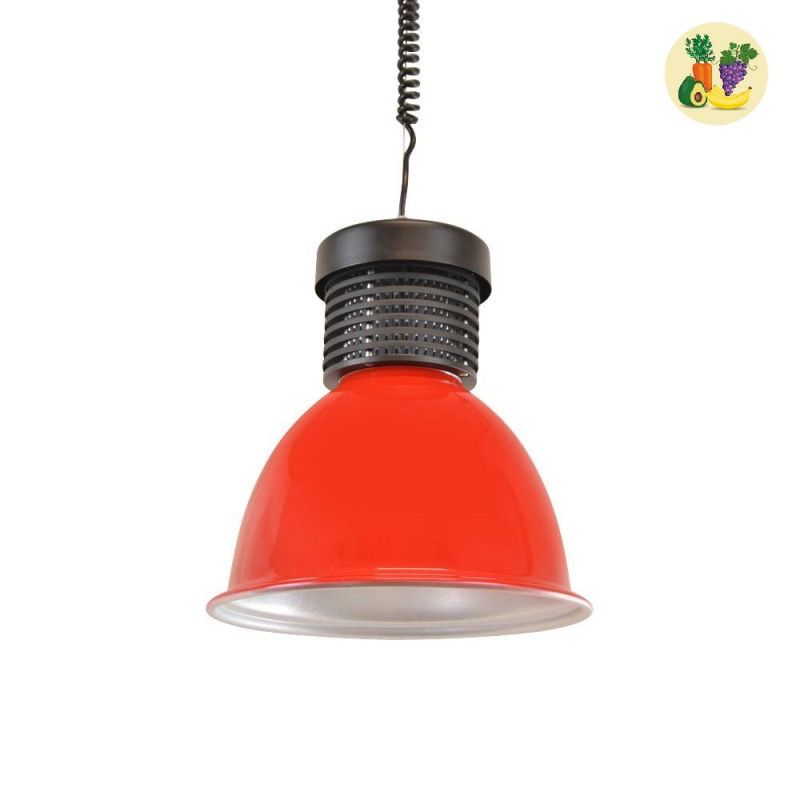 LED hood 30W special for greengrocers and greengroceries