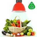 30W LED hood special for greengroceries