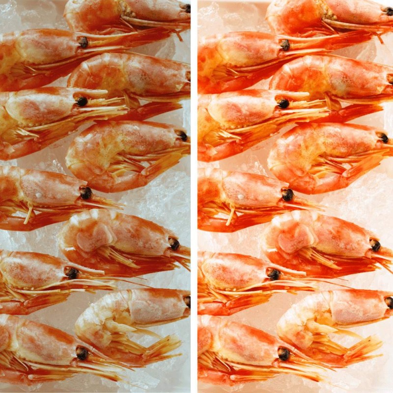 Three-phase LED spotlight 30W special for fish and seafood