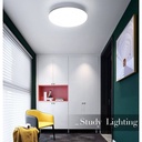 SMART - CCT WIFI surface mounted LED ceiling light 24W - IP20