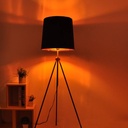 Vintage floor lamp "KAPPEN" with Tripod