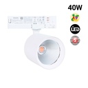 LED 3-phase track spotlight - 40W - Fruit and vegetables - Philips Xitanium Driver