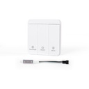 Monochrome IC LED Strip Controller 12-24V - With RF Remote - 23 Effects