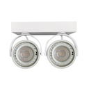 Plafonnier "IRIS-2 " 2 x AR111 GU10