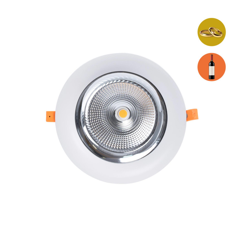 Erityinen LED-downlight kultaja viiniliikkeisiin - 40W - Philips-ohjain - Leikkaus Ø210 mm