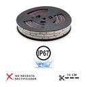 Striscia LED 220V - 300W (2400xSMD2835) - 12mm - Per esterni: IP67 - Rotolo da 20 metri