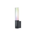 Outdoor Wall Light SMART WIFI RGBW FLARE WALL
