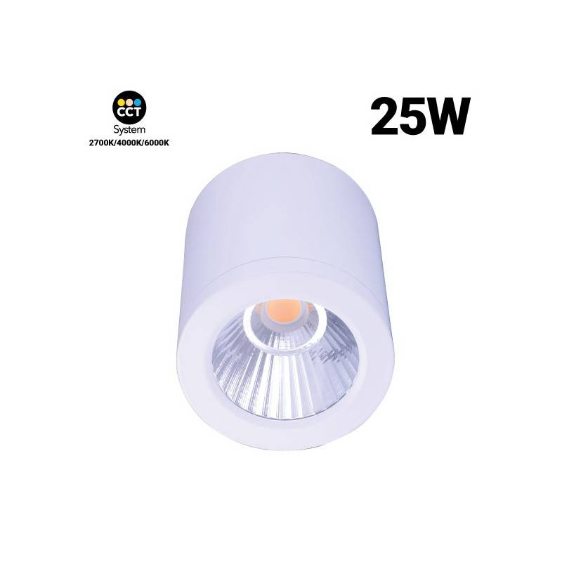 Aplique de techo CCT "GESS" COB 25W IP54